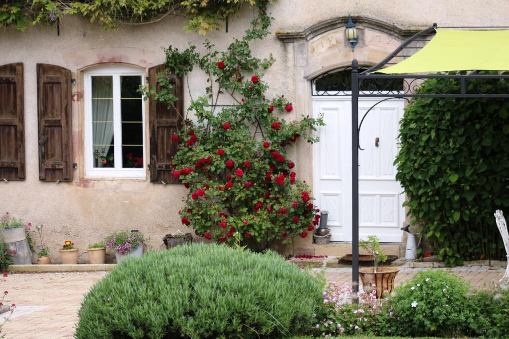Le Clos D'Albray - Chambres D'Hotes Et Gite Comps-la-Grand-Ville Dış mekan fotoğraf